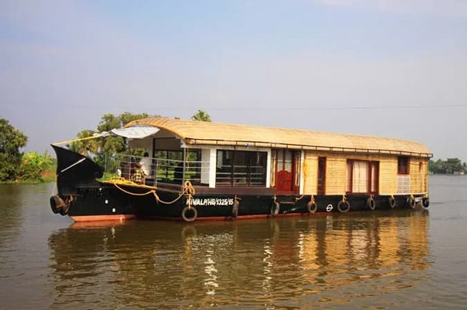 Kevin Grandma Deluxe