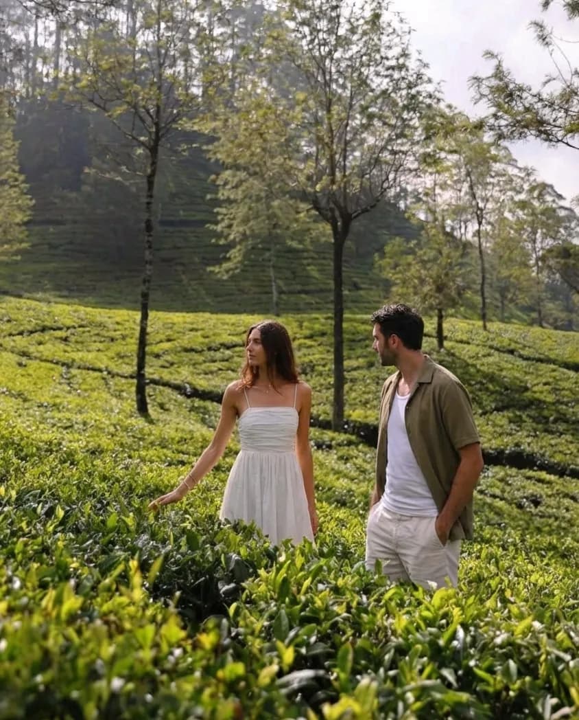 3-Day Munnar Alleppey Houseboat Package - Kerala backwater package tour