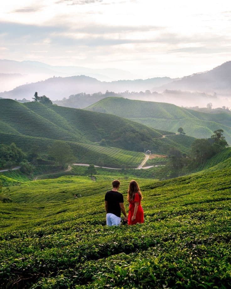 Munnar Kerala packages
